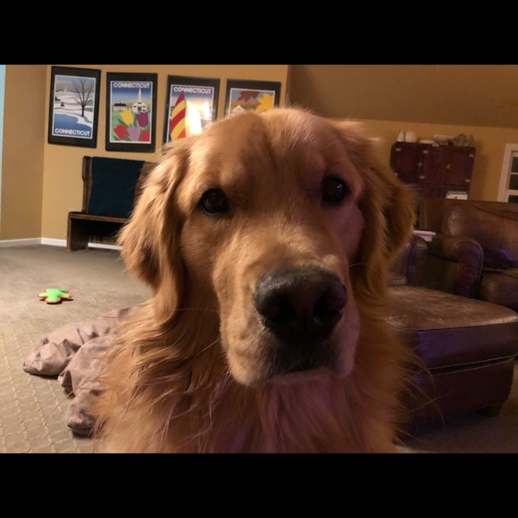 Meet your Posher, Christina - Picture 6 of 8